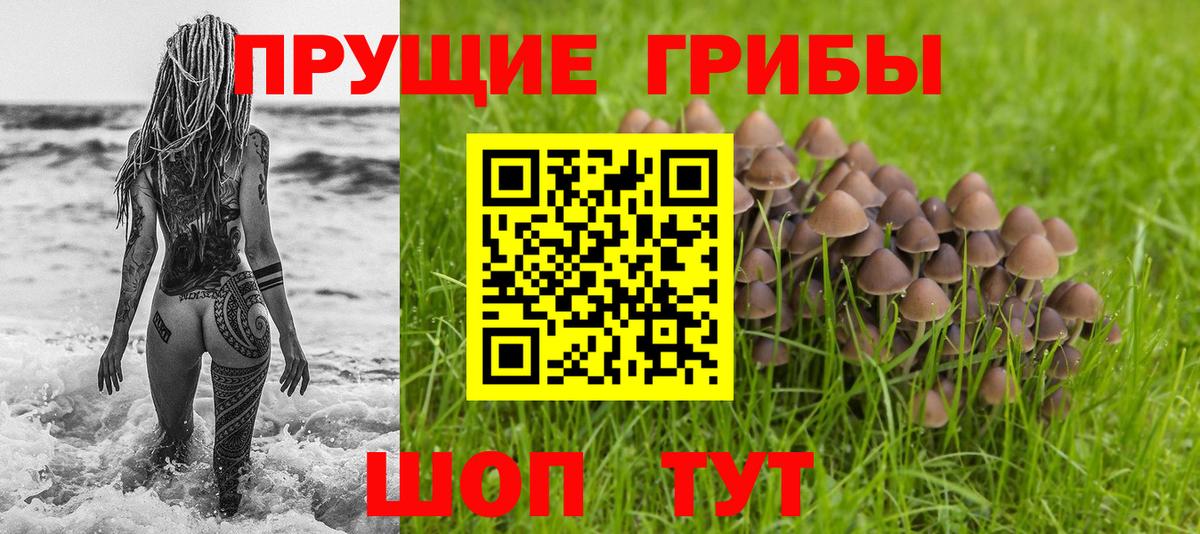 Галлюциногенные грибы прущие грибы Железноводск
